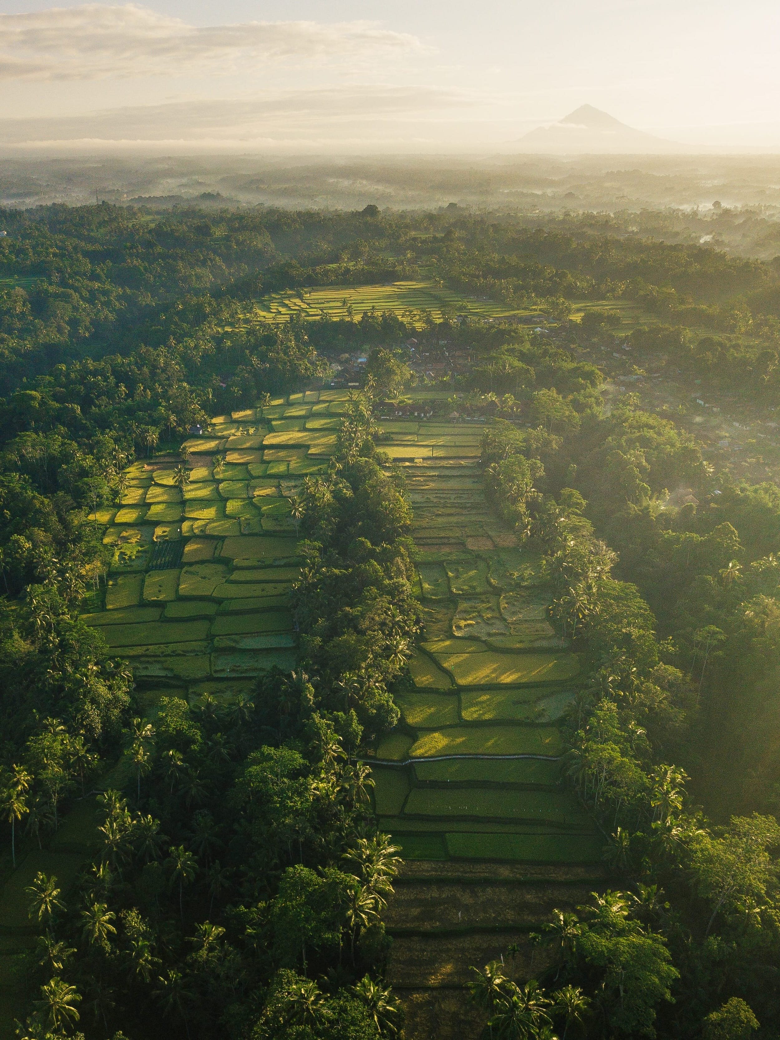 Explore Ubud Tegalalang Rice Terraces