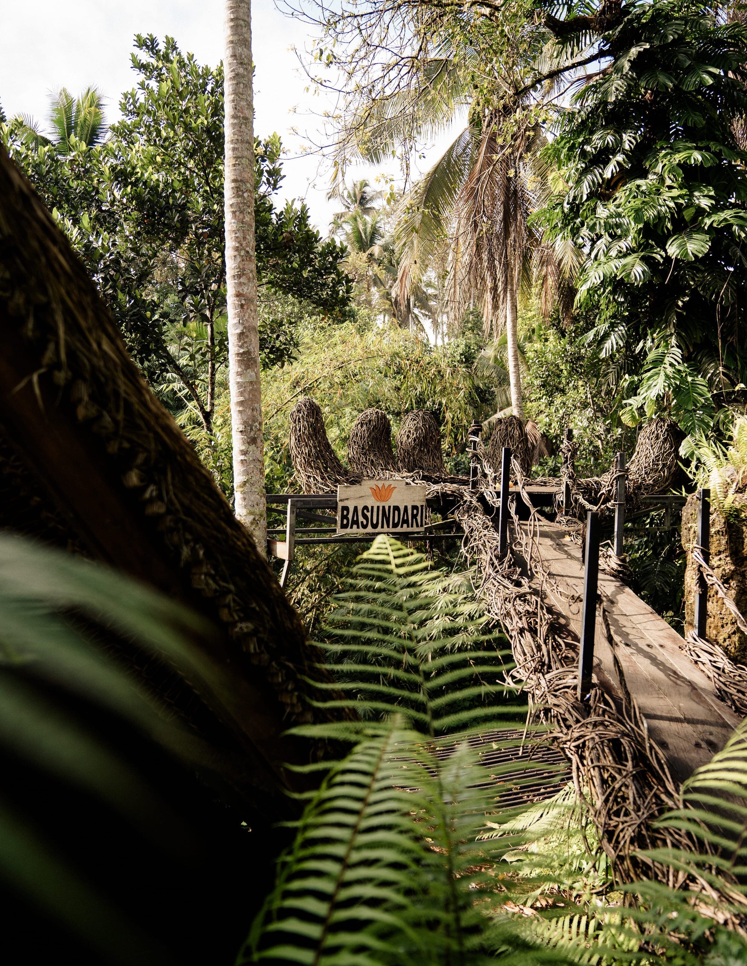 Meditation In Jungle Event Venue Bali Ubud