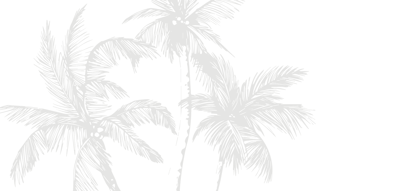 Palms