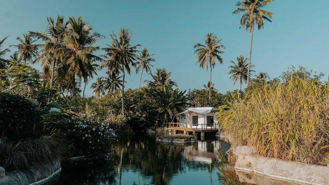 Serene cabin with lush tropical vegetation and tranquil waters perfect for host retreats.