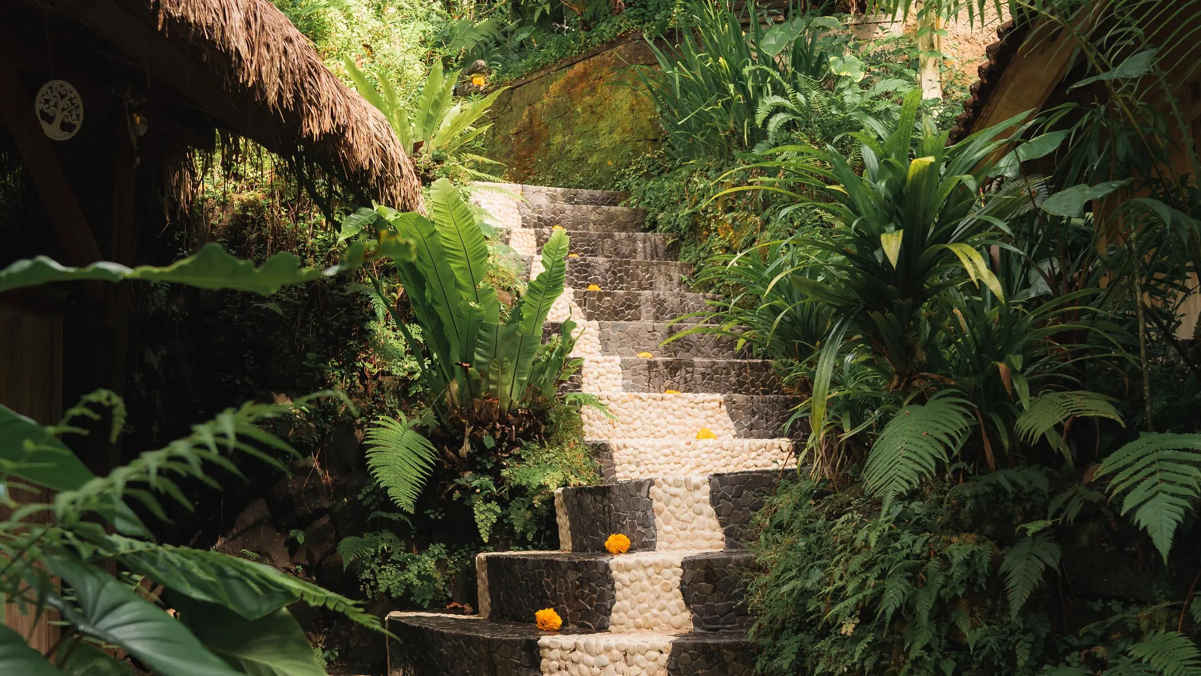 Tropical garden stone path at a serene yoga retreat in Bali