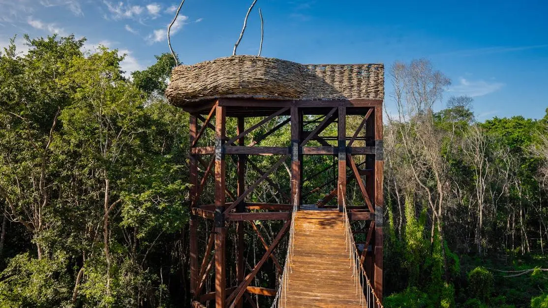 Elevated wooden glamping hut amid lush jungle, showcasing eco retreats Bali experience