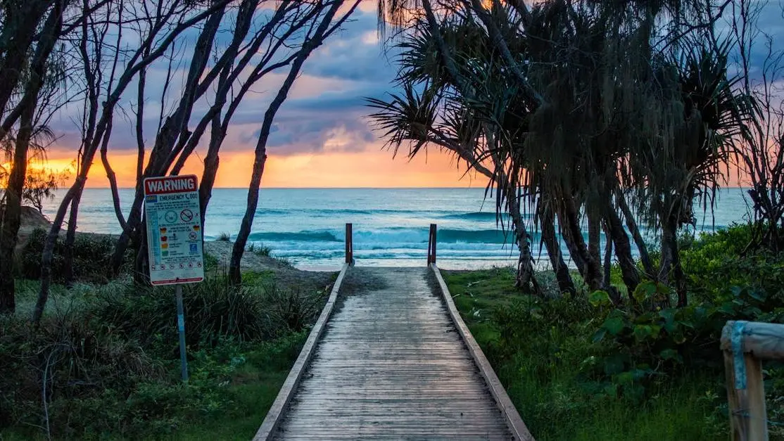 Sunrise ocean view along wooden pathway, trees framing an Australian beach, holistic healing approach
