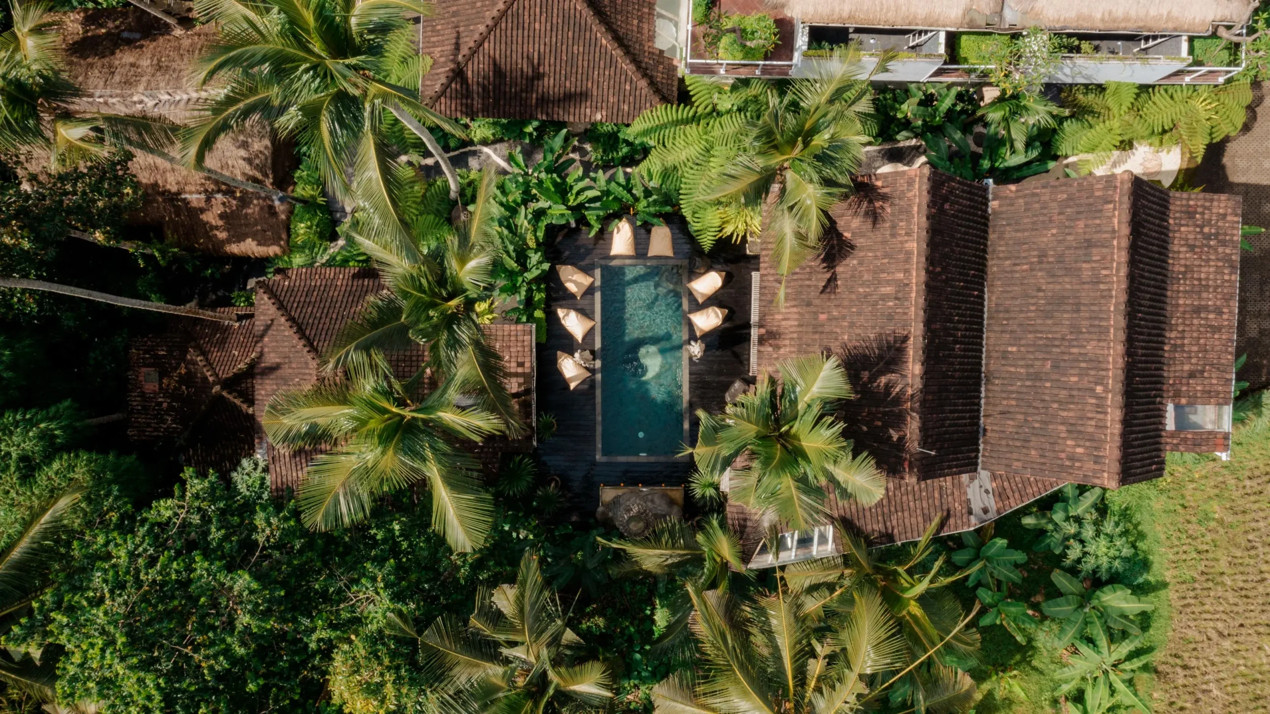 Yoga vs tai chi: side-by-side comparison of poses highlighting balance, breath, and mindful movement