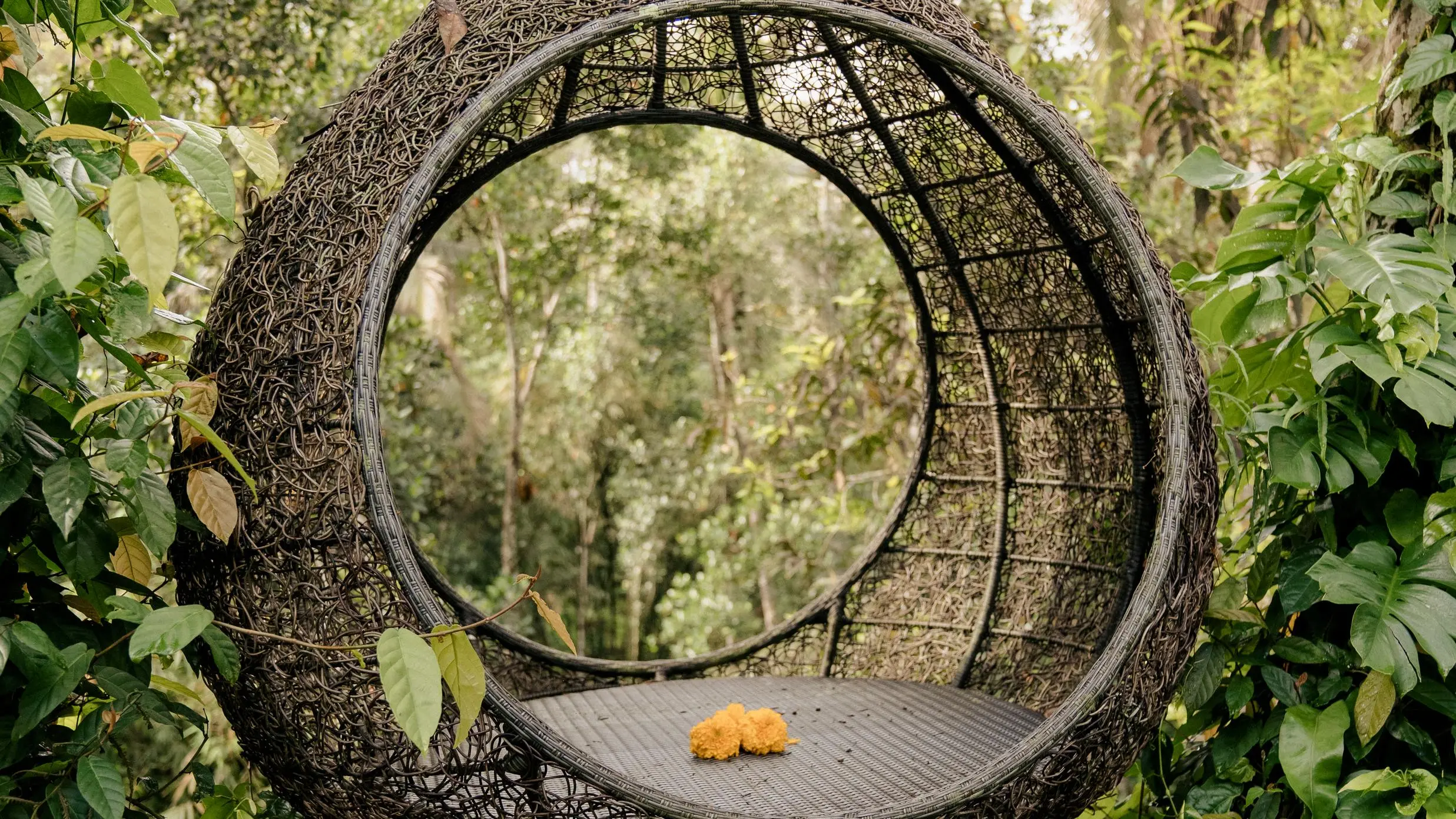 Hanging chair in garden, ideal setting for video content for retreat marketing